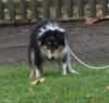 dsc07509_small.jpg