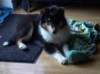 dsc07511_small.jpg