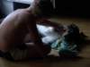 dsc07513_small.jpg