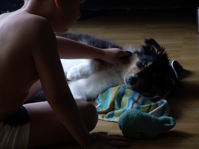 dsc07516.jpg