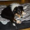 dsc07518_small.jpg