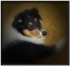 dsc07519_small.jpg