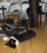 dsc07531_small.jpg