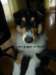 dsc07533_small.jpg