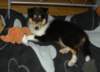 dsc07534_small.jpg