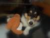 dsc07535_small.jpg