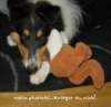 dsc07536_small.jpg