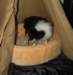 dsc07537_small.jpg