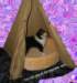 dsc07539_small.jpg
