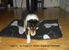 dsc07540_small.jpg