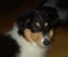 dsc07541_small.jpg