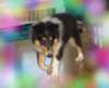 dsc07542_small.jpg
