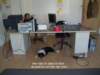 dsc07543_small.jpg