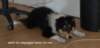 dsc07544_small.jpg