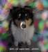 dsc07548_small.jpg