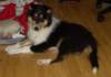 dsc07549_small.jpg