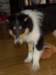 dsc07551_small.jpg