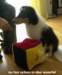 dsc07559_small.jpg