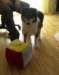 dsc07565_small.jpg
