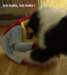 dsc07566_small.jpg
