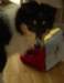 dsc07570_small.jpg