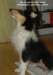 dsc07583_small.jpg