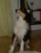 dsc07584_small.jpg