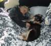 dsc07596_small.jpg