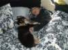 dsc07597_small.jpg