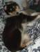 dsc07599_small.jpg
