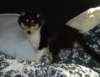 dsc07601_small.jpg
