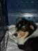 dsc07637_small.jpg