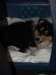 dsc07638_small.jpg