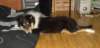 dsc07641_small.jpg