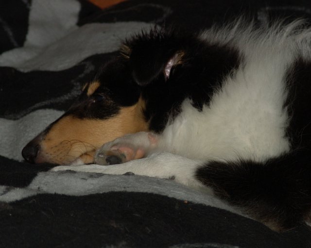 dsc07643.jpg