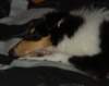dsc07643_small.jpg