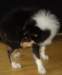 dsc07648_small.jpg