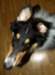 dsc07655_small.jpg