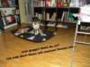 dsc07656_small.jpg
