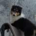 dsc07661_small.jpg