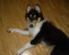 dsc07662_small.jpg