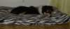 dsc07664_small.jpg