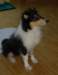 dsc07673_small.jpg