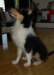 dsc07674_small.jpg