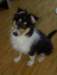 dsc07675_small.jpg