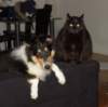dsc07676_small.jpg