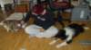 dsc07680_small.jpg