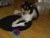 dsc07682_small.jpg