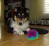 dsc07683_small.jpg