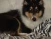 dsc07685_small.jpg